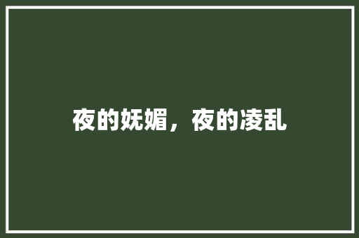 夜的妩媚，夜的凌乱