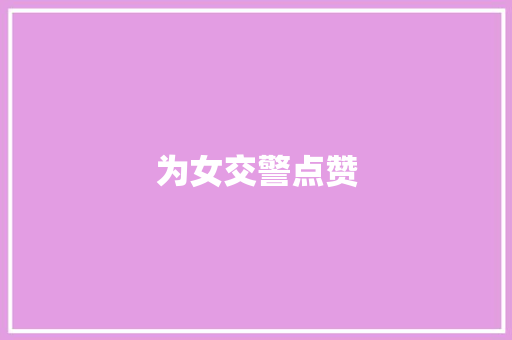 为女交警点赞 校园演讲
